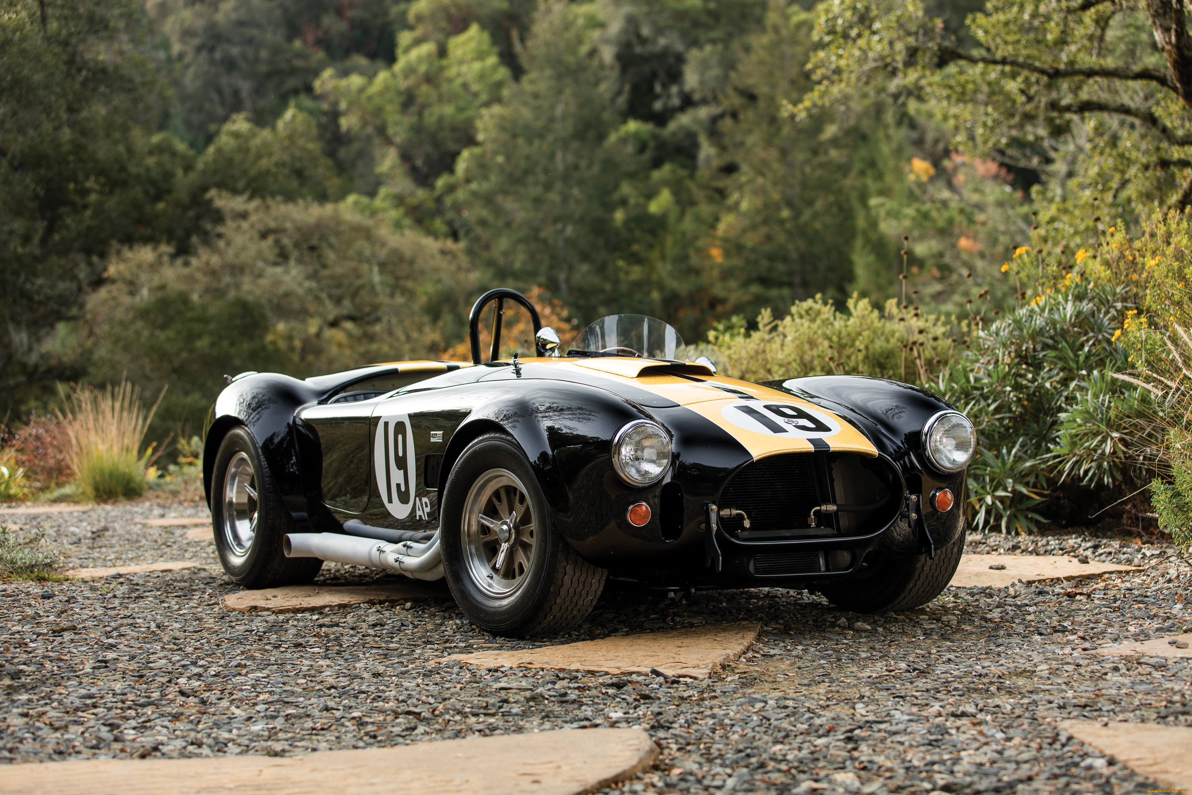 , ac cobra, shelby, cobra